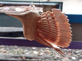 A close up of a wood fan bird created using the riving technique